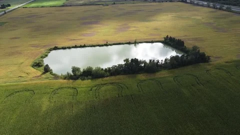 Small pond 스톡 동영상 232515666