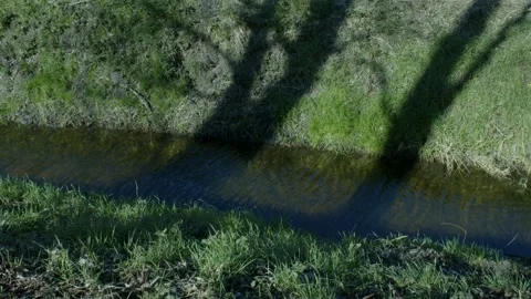 A Small Pond Video stock 234243690