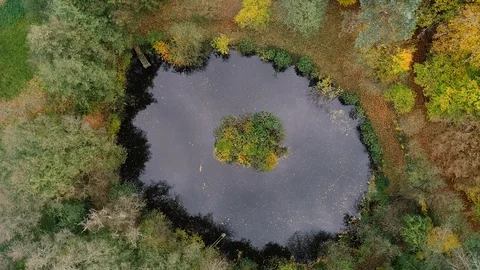 Small pond in the forest - aerial view Stock-Footage 97702239