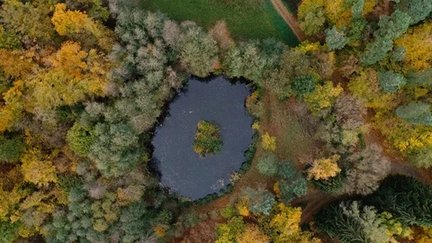 Small pond in the forest - aerial view Stockbeeldmateriaal 97703023