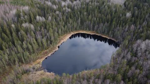 Small pond in the forest Stock Photos