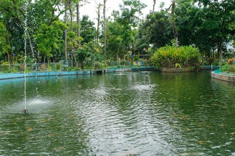 Small pond in the garden Foto stock