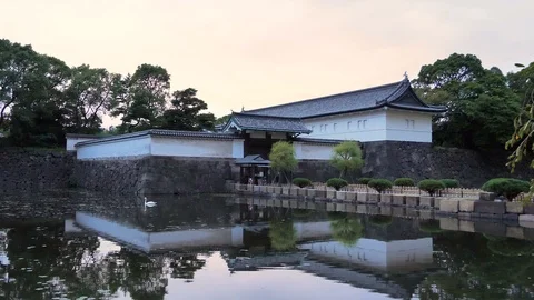 A small pond inside the Imperial Palace Gardens in Tokyo Japan Stock Footage 121410663
