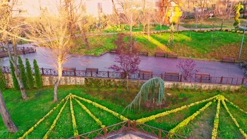 A small pond in the middle of a garden Stock Footage 272973320