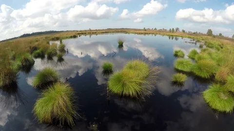 Small pond in a nature reserve. Stock Footage 80523705