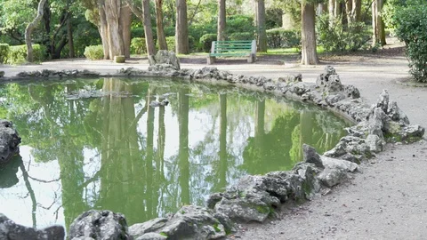 Small pond in the old park Stock Footage 99703163