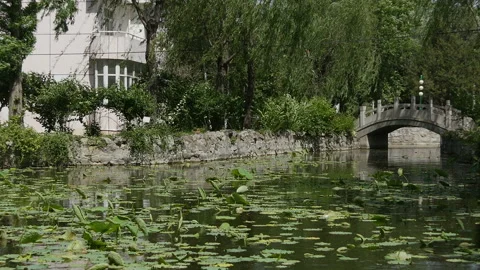 Small pond in the park Video stock 102295376