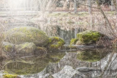 Small pond in the park Foto stock
