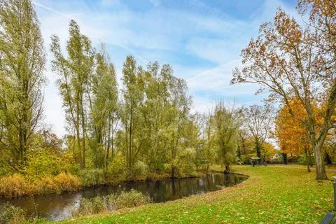 A small pond in a park with trees Stock Photos