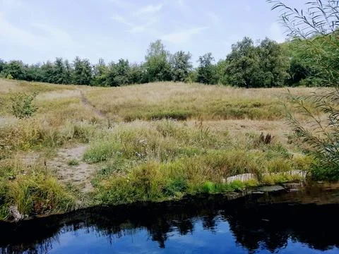 Small pond 스톡 사진