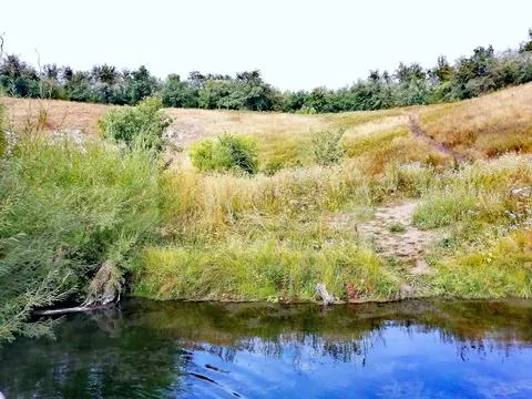 Small pond Foto stock