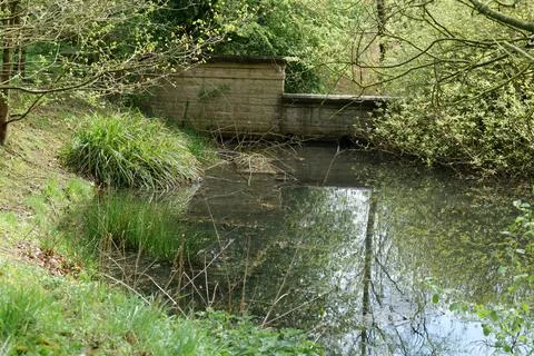 Small pond Stock Photos