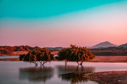 Small pond with reflections of trees in UAE Stock-Fotos