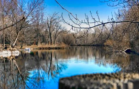 Small pond off the river Stock Photos