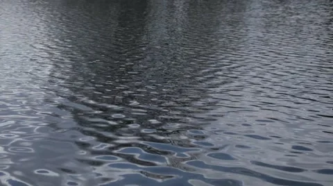 Small Pond with Round Edges and Ripples on the Water Stock Footage 52619216