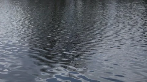 Small Pond with Round Edges and Ripples on the Water Video stock 52620246