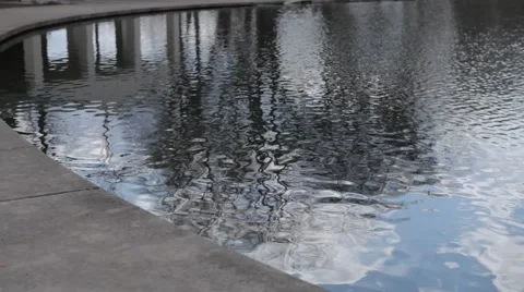 Small Pond with Round Edges and Ripples on the Water Stock Footage 52621302