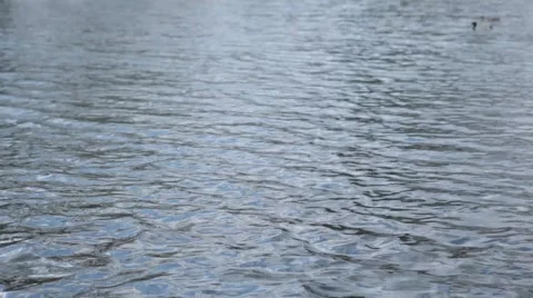 Small Pond with Round Edges and Ripples on the Water Stock Footage 52621628