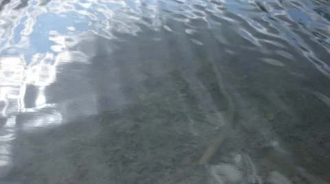 Small Pond with Round Edges and Ripples on the Water Stock Footage 52624455