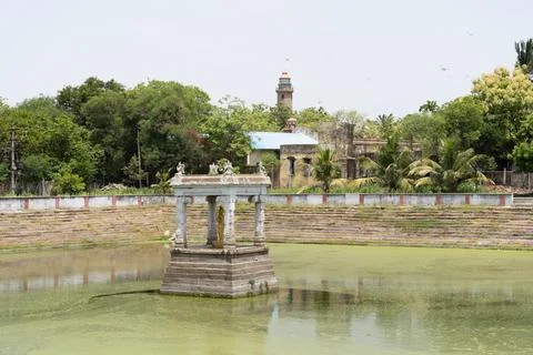 A small pond with a stone structure in the middle 写真素材