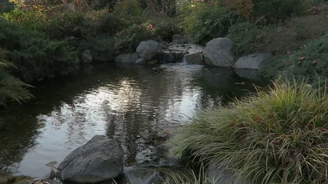 Small pond, the suns reflection dancese on the water. Stockbeeldmateriaal 119171974