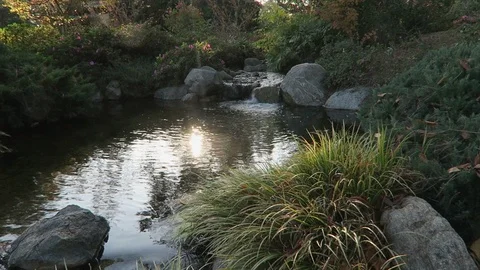 Small pond, the suns reflection dancese on the water. Stockbeeldmateriaal 119172400
