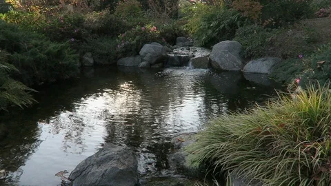 Small pond, the suns reflection dancese on the water. Stock Footage 119172570
