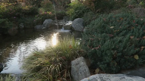 Small pond, the suns reflection dancese on the water. Stock Footage 119172844