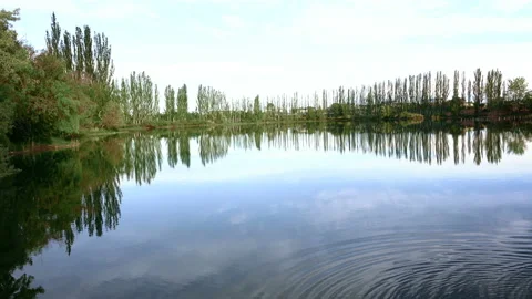 A small pond surrounded by green trees Stock-Footage 103862500