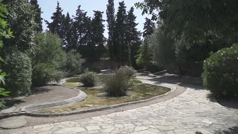 Small pond surrounded with trees and vegetation Stock Footage 134605945