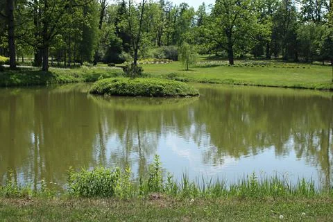 Small pond surrounded by trees and shores covered with lush green grass Stock Photos