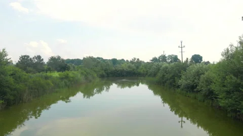 Small pond surrounded with wild bushes, reed and utility poles on a shore Stock Footage 263310449