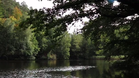 Small pond on a warm day Video stock 162176864