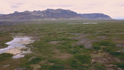 Small ponds on a green meadow. Stock-Footage 111461869