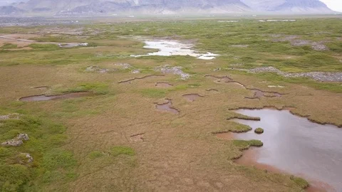 Small ponds on a green meadow. Stock-Footage 111538850