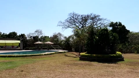 Small pool and ceiba tree in the background Stock Footage 242818637