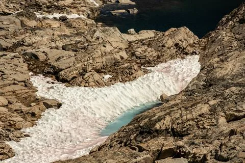 Small Pool Begins To Form As Snow Melts Along Glen Pass Trail In Kings Canyon 库存照片