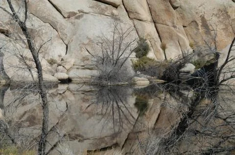 Small pool Stock Photos