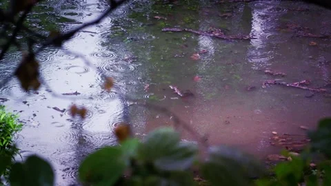 Small Pools Of Standing Water. Stock Footage 329548548