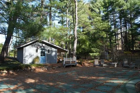 Small Poolside Cabin Surrounded by Pine Trees in Autumn Light Stock Photos