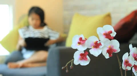 Small portable computer Video stock 25410678