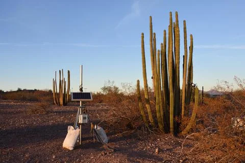 Small portable solar panel on tripod next to Organ pipe cactus in the desert Stock Photos