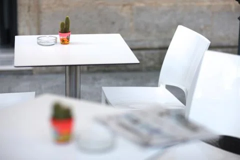 A small pot with a flowering cactus on a table in a small street cafe. Stock Photos