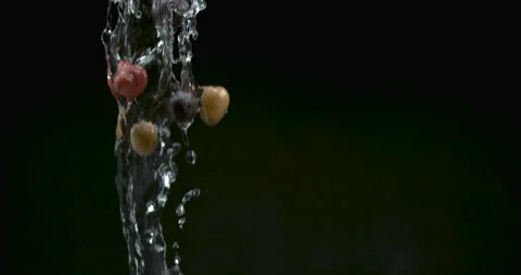 Small potatoes fall with water droplets on black background closeup in ultra slo Stock Footage 199457191
