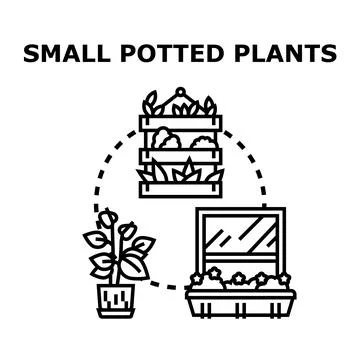 Small potted plants growing decorating interior spaces Stock Illustration