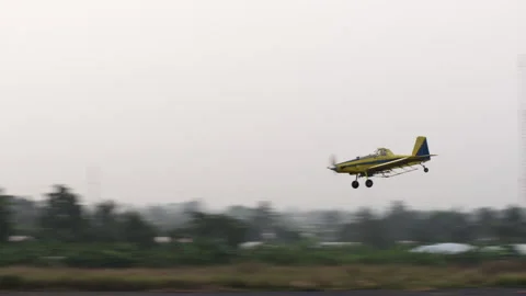 Small Private Airplane Landing, Cameroon, Africa Stock Footage 261973559