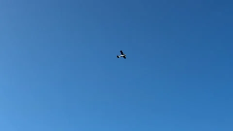 A small propeller plane flies across the clear blue sky. The light aircraft, oft Stock Footage 314358592