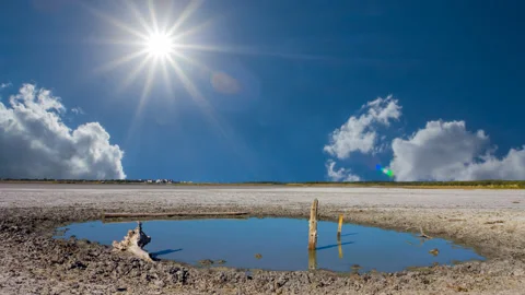 Small puddle among saline land under the hot summer sun Stock-Footage 318222473