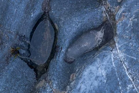 Small puddle in blue rock close up Stock Photos