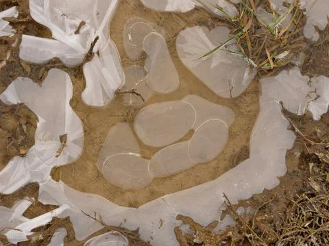 Small puddle with ice Stock Photos